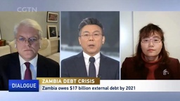 媒体视野｜我院马奥尼教授接受CGTN采访