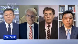 媒体视野｜我院马奥尼教授接受CGTN采访