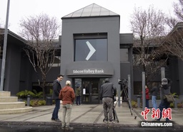 媒体视野｜我院马奥尼教授接受中新社采访 谈「硅谷银行破产」