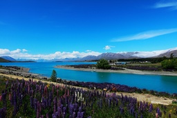 会议报道｜我院汪诗明教授在首届中国大洋洲研究学术组织联席会上的致辞