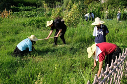 《国情调查与田野劳动》｜第五站：在和君，我们下地啦