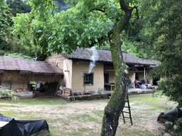 媒体视野｜我院王向民教授接受澎湃新闻采访，谈暑期课程《调研中国》