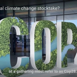 媒体视野｜我院马奥尼接受《南华早报》采访解读「中美国家元首缺席世界气候行动峰会」