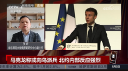 媒体视野｜我院俄罗斯研究中心副主任张昕接受CCTV-4采访 谈马克龙向乌派兵援助问题