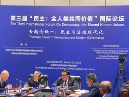 活动回顾｜马奥尼教授参加第三届“民主：全人类共同价值”国际论坛“民主与治理现代化”专题分论坛并发言