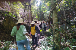 「国情调查」纪行⑦｜在赣南苏区 重走留守红军山路